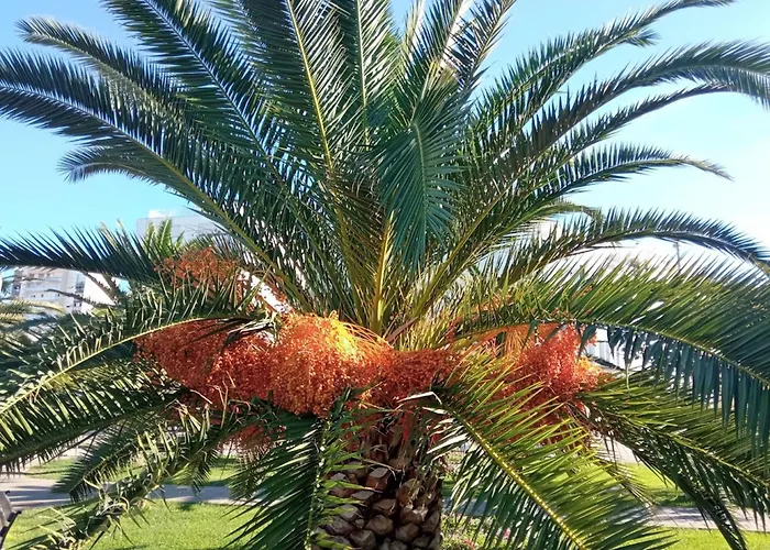 Shared By Oldtown And 400 M Away Zadar